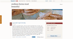 Desktop Screenshot of erinkay.teachforus.org